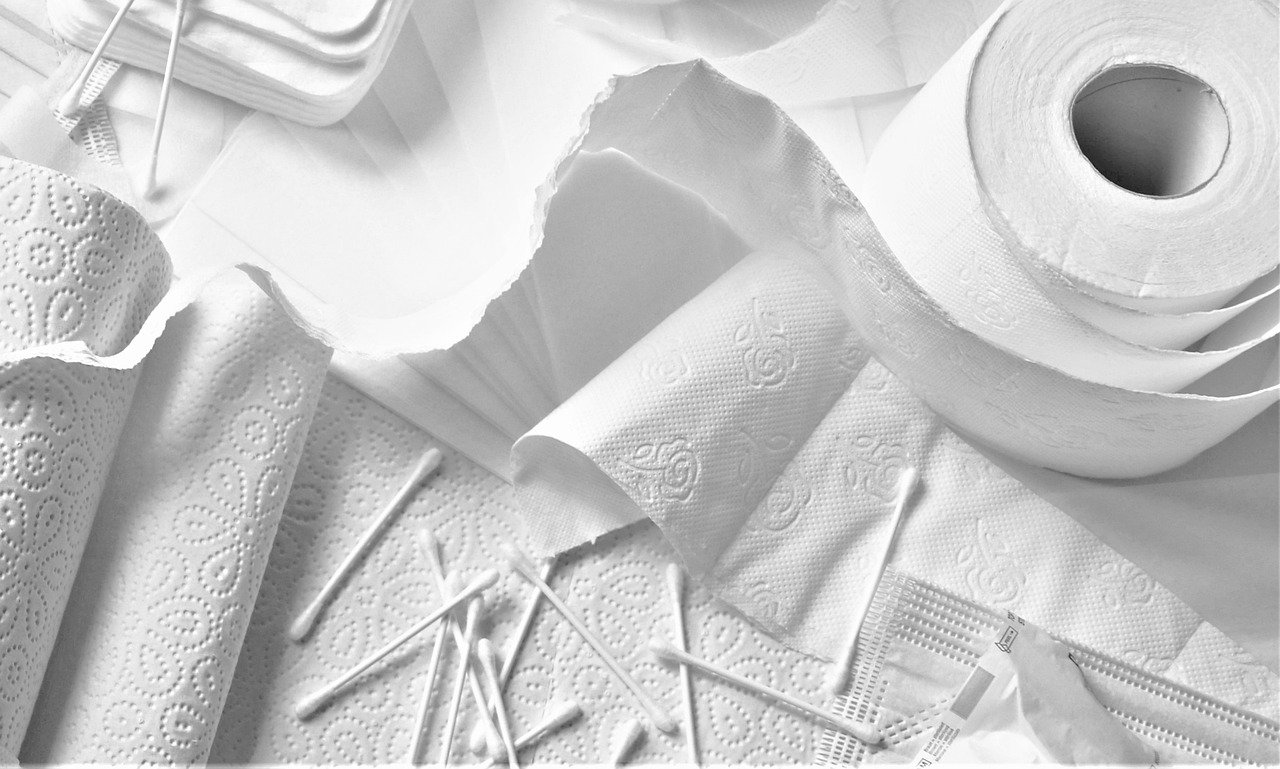 papier toilette
