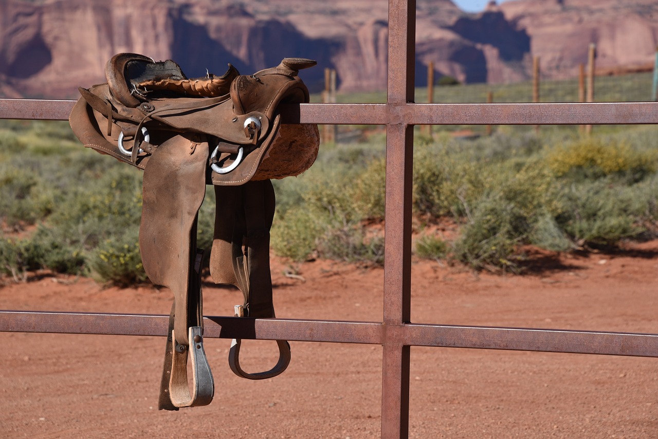 Cowboy World